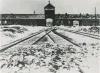 Einfahrtstor des Konzentrationslager Auschwitz. Stadtarchiv Bielefeld, Bestand 400,3/Fotosammlung, Nr. 95-013-086