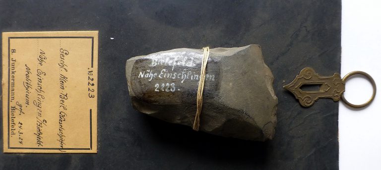 Kleines Steinbeil aus dem Neolothikum (5800-4000 v. Chr.), Fund von Siegfried Junkermann in Quelle
